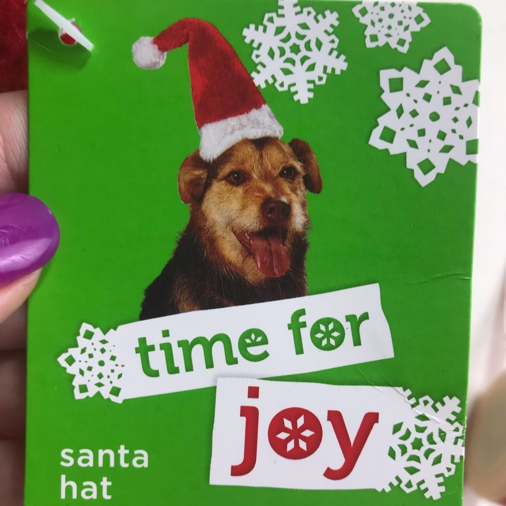 Santa Hat Dog Cat Pet Animal Christmas Holiday